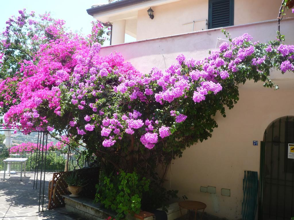 Villa Panthea Capo Vaticano Exterior foto